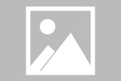 关于Scout在IG比赛中赛事规则更新，惊险取胜引发热议！的信息